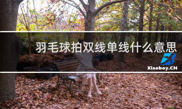 羽毛球拍双线单线什么意思