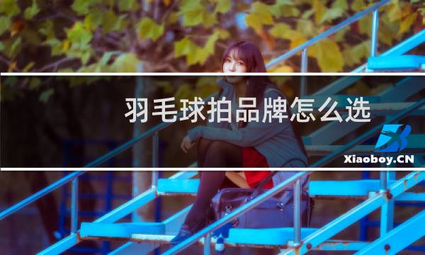 羽毛球拍品牌怎么选
