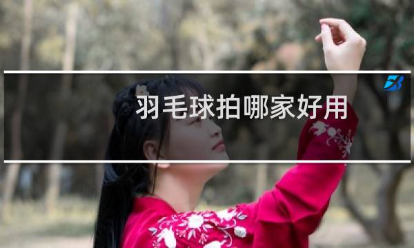 羽毛球拍哪家好用