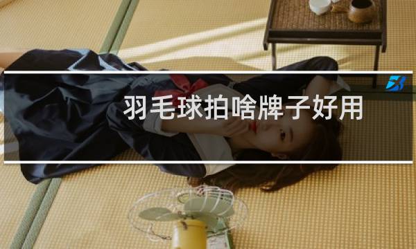 羽毛球拍啥牌子好用