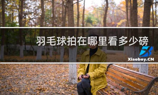 羽毛球拍在哪里看多少磅