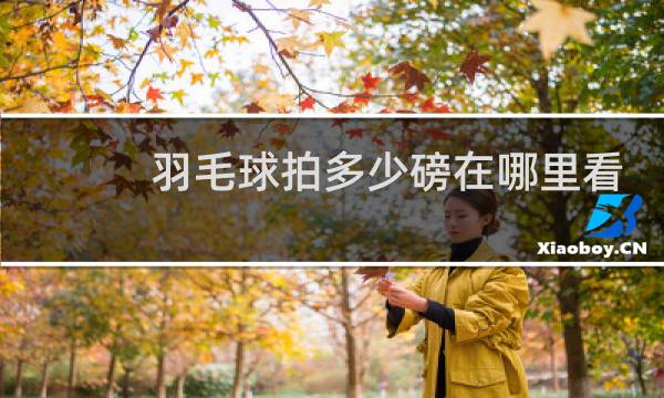 羽毛球拍多少磅在哪里看