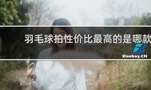 羽毛球拍性价比最高的是哪款