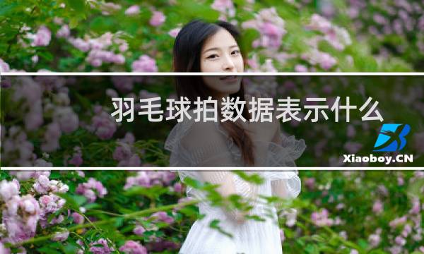 羽毛球拍数据表示什么