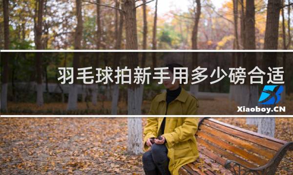 羽毛球拍新手用多少磅合适