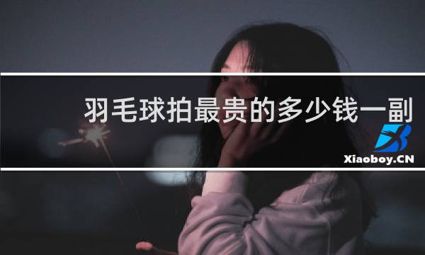 羽毛球拍最贵的多少钱一副