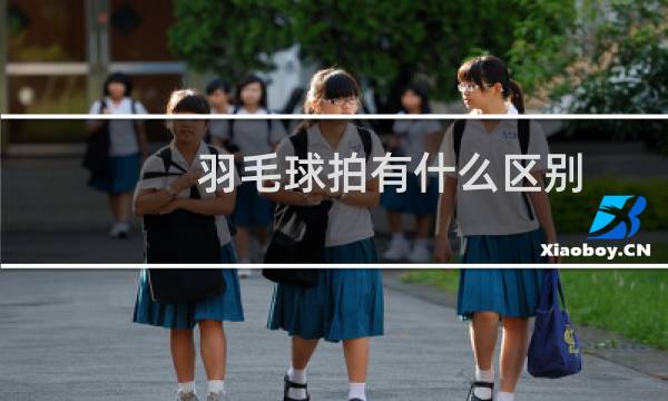 羽毛球拍有什么区别