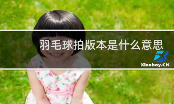 羽毛球拍版本是什么意思