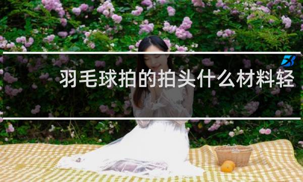 羽毛球拍的拍头什么材料轻
