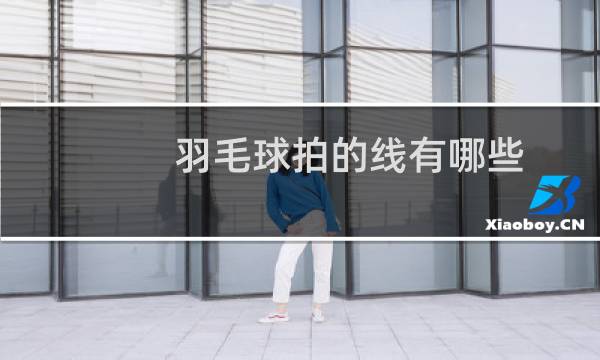 羽毛球拍的线有哪些