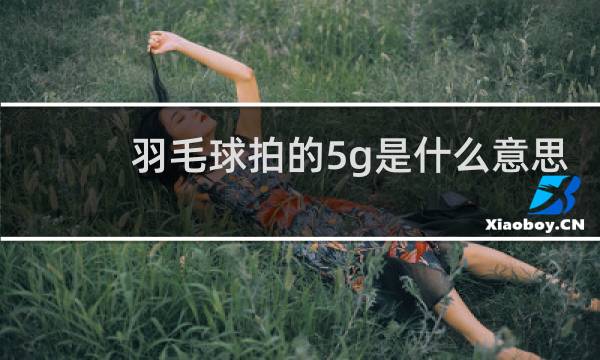 羽毛球拍的5g是什么意思
