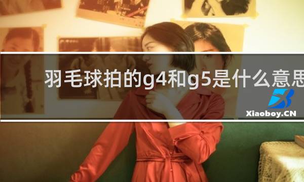 羽毛球拍的g4和g5是什么意思