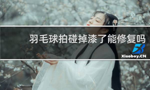 羽毛球拍碰掉漆了能修复吗