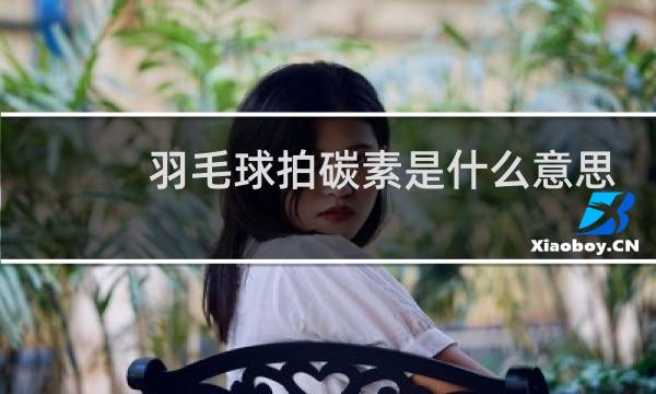 羽毛球拍碳素是什么意思