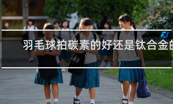羽毛球拍碳素的好还是钛合金的好