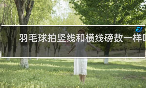 羽毛球拍竖线和横线磅数一样吗