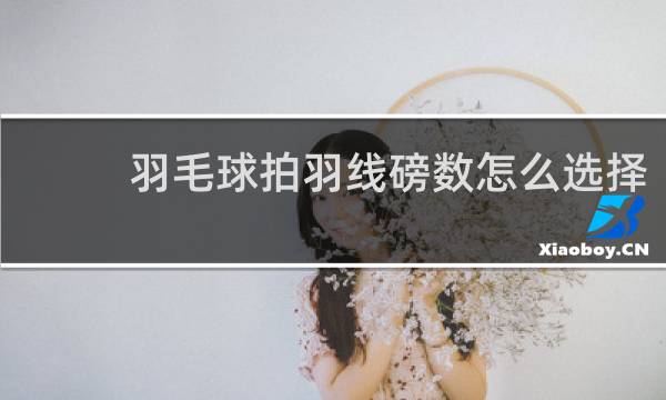 羽毛球拍羽线磅数怎么选择