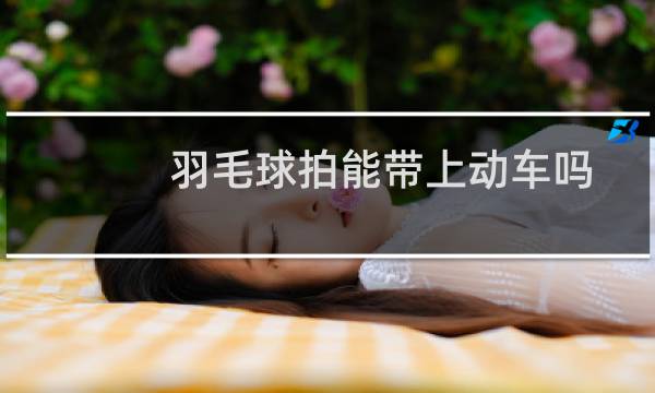 羽毛球拍能带上动车吗