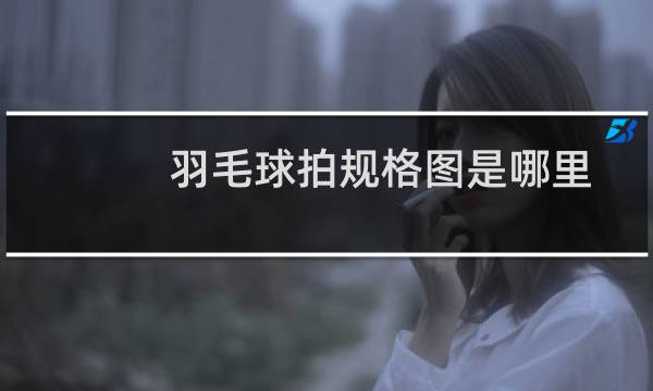 羽毛球拍规格图是哪里