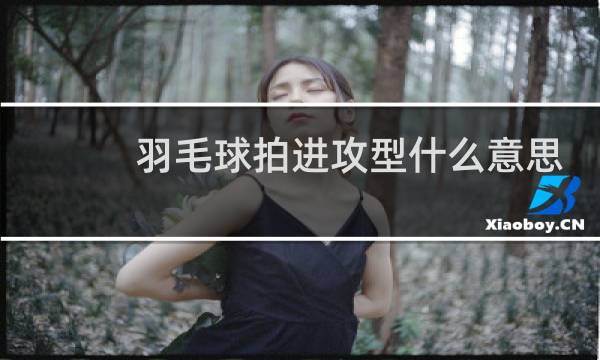 羽毛球拍进攻型什么意思