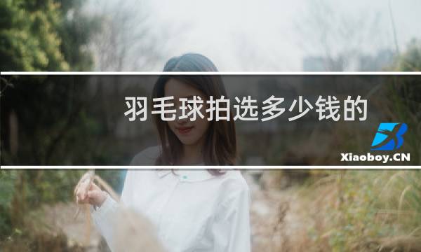 羽毛球拍选多少钱的