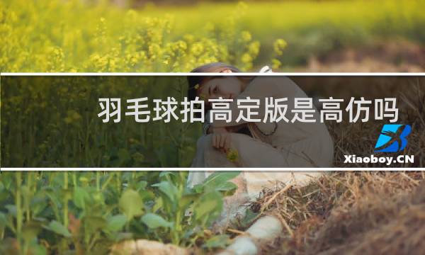羽毛球拍高定版是高仿吗