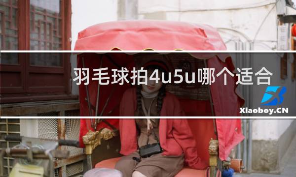 羽毛球拍4u5u哪个适合