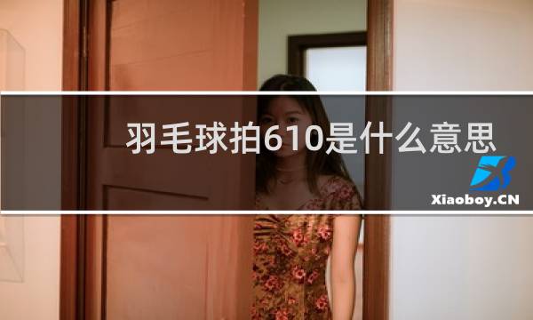羽毛球拍610是什么意思