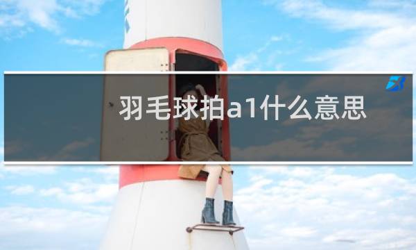 羽毛球拍a1什么意思