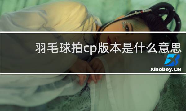 羽毛球拍cp版本是什么意思