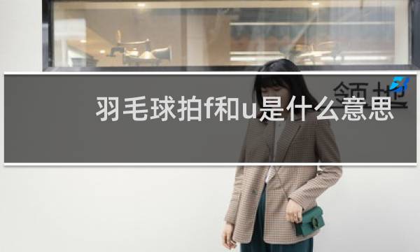 羽毛球拍f和u是什么意思