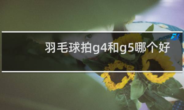 羽毛球拍g4和g5哪个好