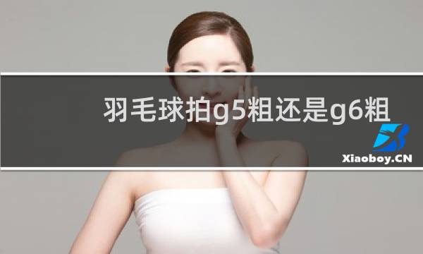 羽毛球拍g5粗还是g6粗