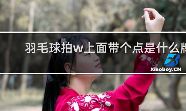 羽毛球拍w上面带个点是什么牌子