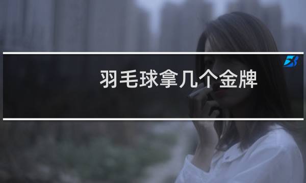 羽毛球拿几个金牌