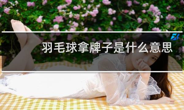羽毛球拿牌子是什么意思
