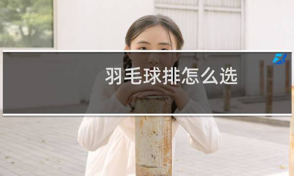 羽毛球排怎么选