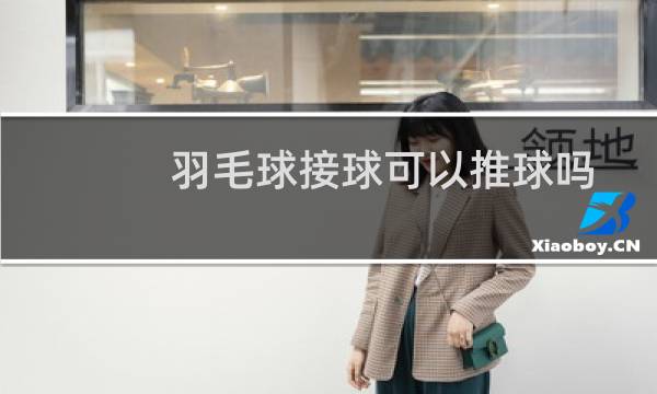 羽毛球接球可以推球吗