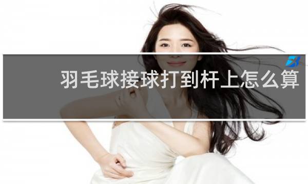 羽毛球接球打到杆上怎么算