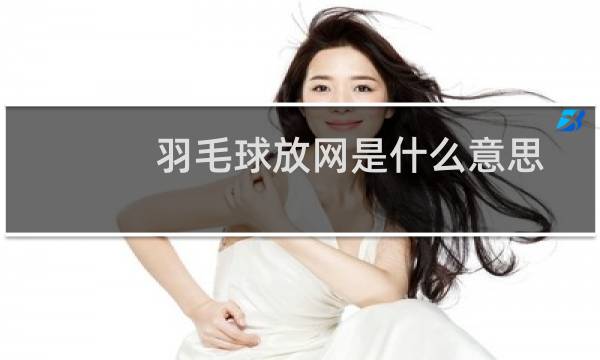 羽毛球放网是什么意思