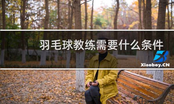 羽毛球教练需要什么条件