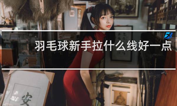 羽毛球新手拉什么线好一点