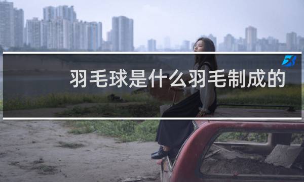羽毛球是什么羽毛制成的