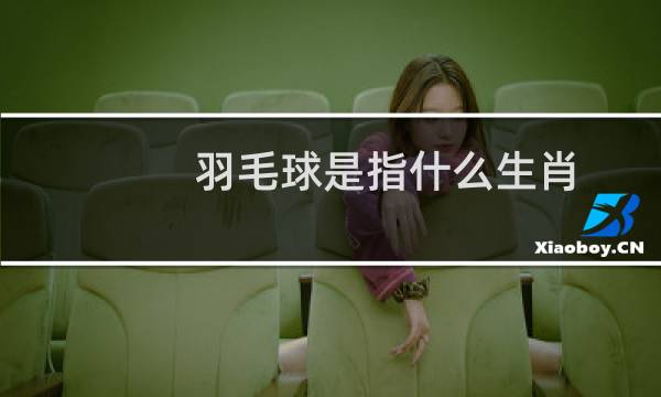 羽毛球是指什么生肖