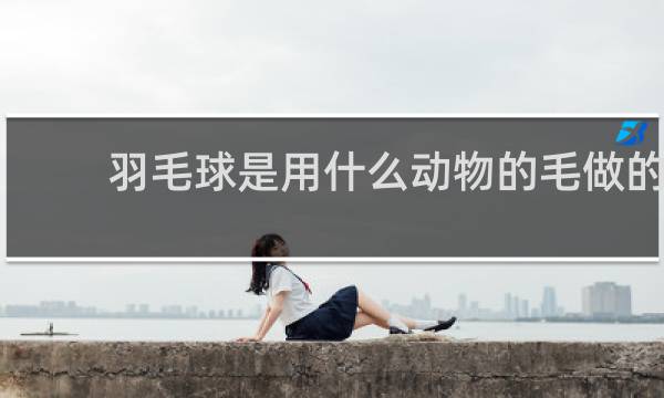 羽毛球是用什么动物的毛做的