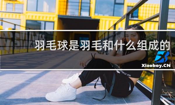 羽毛球是羽毛和什么组成的