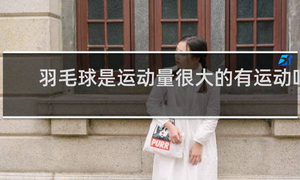 羽毛球是运动量很大的有运动吗