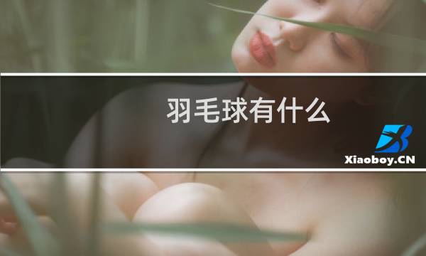 羽毛球有什么
