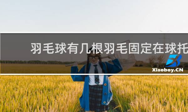 羽毛球有几根羽毛固定在球托