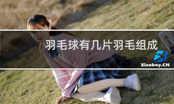羽毛球有几片羽毛组成